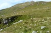 Chorthippus parallelus: Habitat (Austria, East Tyrol, Seespitzh&uuml;tte, 2200m, late August 2018) [N]