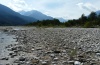 Chorthippus pullus: Habitat at the Lech near Forchach (September 2010) [N]