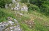 Charissa pullata: Habitat (Ostalb) [N]