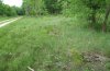 Noctua interjecta: Habitat (Raupenfundstelle in einer feuchten Grasflur im Mai 2008, Ostalb). Hier kommen auch Satyrium ilicis und Zygaena osterodensis vor. [N]