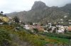 Danaus plexippus: Habitat auf La Gomera (Valle Hermoso, Dezember 2011): Kulturland und G&auml;rten. [N]